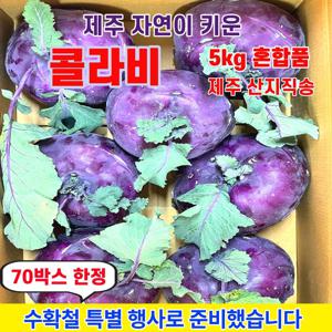 제주 햇 콜라비 4.9kg 혼합품