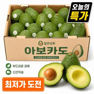 [하루딱50박스] 프리미엄 크리미 촉촉한 아보카도 페루산 중대과 (200g내외)