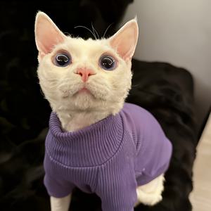 삼색 옵션 스핑크스 무모고양이 보온 양다리옷, 피부 친화적, 통기성, 기계 세탁 가능, 고양이와 강아지 공용, 몰티즈 가을/겨울 집에서 입는 베이스 레이어 셔츠