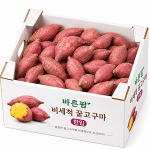 비세척 꿀고구마 밭의 흙을 품고 온 달큰한 한뿌리