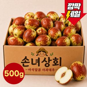 [다신없을가격] 제철 햇 사과대추 500g (원산지: 국내산)