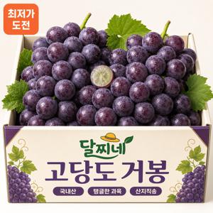 [오늘만초특가] 프리미엄 고당도 가정용 거봉 포도 1.9kg 내외