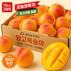 [50박스한정] 고당도 신선한 망고 복숭아 982g