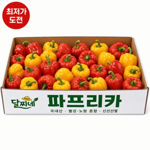 [오늘만초특가] 탱글탱글 국내산 가정용 파프리카 900g (빨강 노랑 혼합)