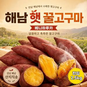 [8월수확] 해남에서 자란 햇 꿀고구마 한입 2.5kg