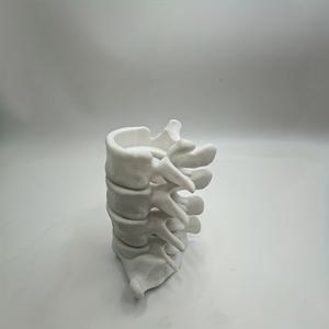 1개 다크 고딕 척추 해골 촛대, 다크 분위기 연출, 데스크탑 공예 장식 장식품, 평범한 촛불을 무서운 예술로 변환, 매니아 필수품, 색상 자유, 할로윈 장식, 공포 영화 소품에 적합