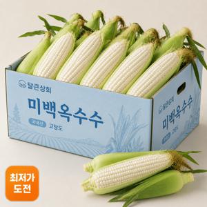 [오늘특가]미백 찰옥수수 미백옥수수 국내산 산지직송