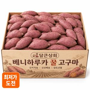 [하루딱50박스] 고당도 국내산 해남 꿀밤고구마 한입 5kg 베니하루카 고구마