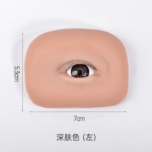 여성을 위한 종합 속눈썹 연장 연습 키트. 상단 및 하단 속눈썹, 눈꺼풀 리프팅 기능이 특징이며 초보자를 위해 설계된 단일 핀셋 훈련 모듈이 포함되어 있습니다. 속눈썹 연장 애호가에게 이상적이며 결혼식에 완벽합니다.