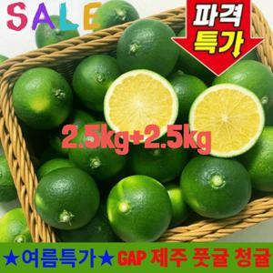[시원한초특가] 2.5kg+2.5kg 제주 풋귤 청귤 로얄과 5kg 비타민 듬뿍 농장직송
