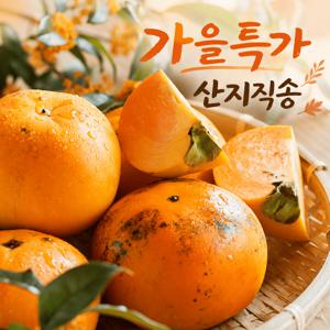 가을 첫 태추단감 1kg