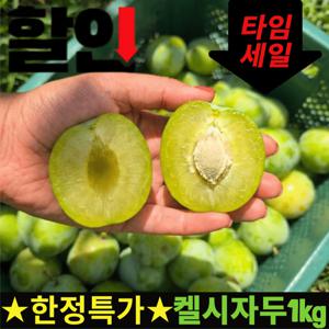 [폭탄할인] 국내산 제철과일 켈시자두 1kg 속이 꽉 찬 단단하고 아삭한 생과