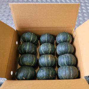 [제주농가직송] 보우짱 미니 밤호박, 1박스 로얄과2.5kg