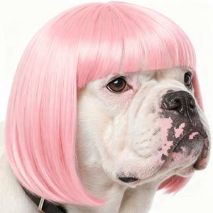 재미있는 강아지 & 고양이 코스프레 가발 - 조절 가능한 애완동물 의상, 갈색/검정/금발/분홍 앞머리 가발, 편안하고 내구성 있는 합성 가발, 강아지 & 고양이용, 할로윈, 크리스마스, 테마 파티용 쉬운 슬립온 디자인 - 숏 밥 가발 애완동물 가발