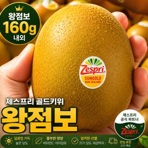 뉴질랜드 제스프리 골드키위 왕점보 XL 5과