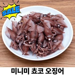 미니미통찜 쵸코오징어 1k(18미내외)