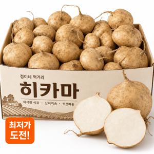수분가득 슈퍼푸드 멕시코 감자 히카마 1001g
