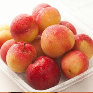 산지직송 후무사 자두 가정용 특가 추천 1kg