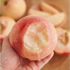 1+1백도딱딱이복숭아 과즙풍부 특가 1kg+1kg