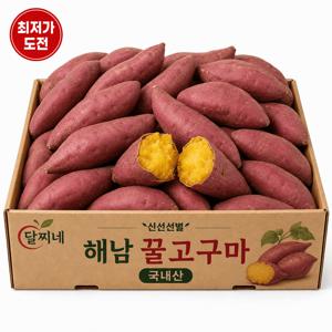 [3일만 특가] 해남 26년 햇 꿀고구마(비세척) 한입사이즈 1.5kg (3개구매시 5kg 발송)
