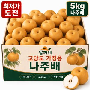 [하루딱30박스] 고당도 가정용 햇 배 나주 5kg 과일 특가 (주스용아님)