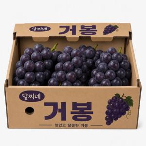 [이번주 할인] 거봉 (특품)/ 990g /2수 내외