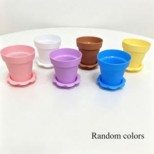 10개 마카롱 색상 미니 꽃병, 꽃잎 트레이 포함, 다육 식물, 녹색 식물, 모종 소형 화분, 발코니 데스크탑 식물 화분, 녹색 식물 장식 소형 화분, 색상 랜덤