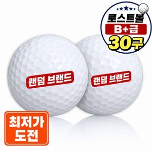 [로스트볼 30구] 유명브랜드 화이트혼합 B+급 30개 / 골프 / 골프공