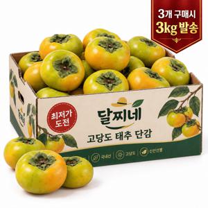 [오늘만초특가] 아삭달콤 제철 태추단감 900g 3개 구매시 3kg 발송