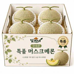 [하루20박스] 국내산 특품 머스크메론 3.9kg (2-4수)