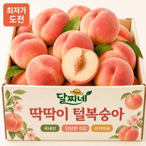 [3일만 특가] 꿀당도 프리미엄 딱딱이 복숭아 1kg 백도 황도