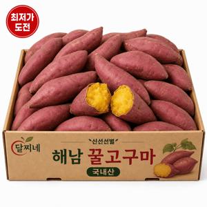 [3일만 특가] 해남 26년 햇 꿀고구마(비세척) 한입사이즈 4.5kg (2개구매시 10kg 발송)