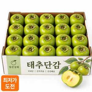 [하루딱50박스] 배맛나는 왕단감 태추 1001g 국내산