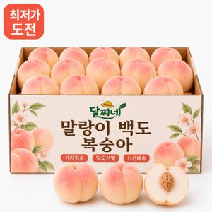 [재구매폭주] 꿀당도 말랑이 백도 복숭아 4kg