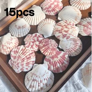 15개 랜덤 색상 바다 팬 조개, 천연 팬 조개, 수공예 제작에 적합, 바다 테마 수족관 및 어항 장식, 조경 제작, 웨딩 파티 선물, 해변 웨딩 장식