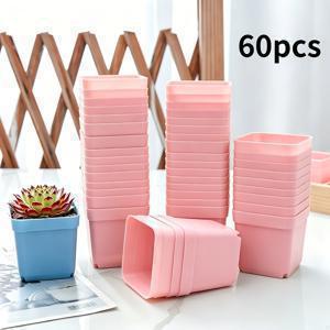 그녀/남자를 위한 선물 60개입, 5.5Cm 다육이 작은 화분, 가정용 다육이 재배 통기성 좋은 작은 사각 화분, 플라스틱 사각 다육이 번식 화분, 원예 모종 재배 화분 - 웨딩 답례품으로 적합