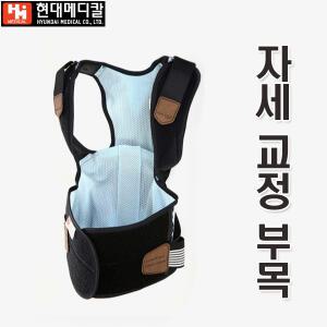 자세교정 부목 허리보호대 척추보호대 어깨보호 조끼형 어깨교정 바른자세 튜빙밴드 허리부목