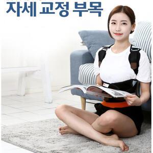 현대메디칼 디스크팡 자세교정벨트 /자세교정부목