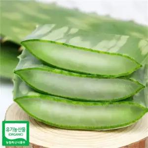 [하프클럽/]유기농 생알로에 사포나리아 1kg 식용