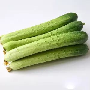 국내산 싱싱한 백다다기 오이 백오이 2kg 가정용 산지직송
