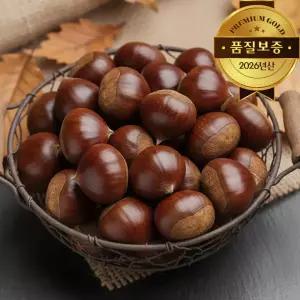 [품질보증] 26년산 햇 공주 부여밤 대자 2kg