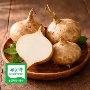 국산 무농약 히카마, 멕시코 감자 (정품,사이즈 혼합) 5kg내외