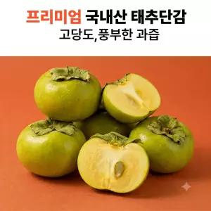 신선한아침 아삭아삭 고당도 태추단감