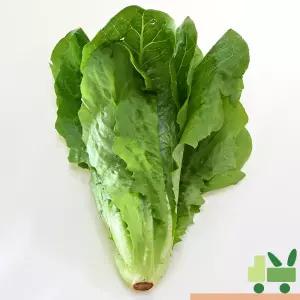 통로메인 2Kg