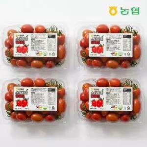 농협선별 스테비아 방울토마토 2kg (500g*4팩)