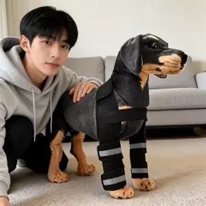 반려견 강아지 보조기 소형견 중형견 노령견 뒷다리 지지대 무릎 케어