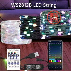 WS2812B RGB LED StringTransparent 녹색 검정색 와이어 주소 지정 가능 웨딩 갈 랜드 장식 크리스마스 조