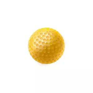 24K 순금 골프공 11.25g 코스트코 코와샵2609 [660594]