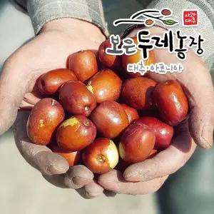 싱싱달콤! 보은두레농장 2026년 햇 생대추 1kg