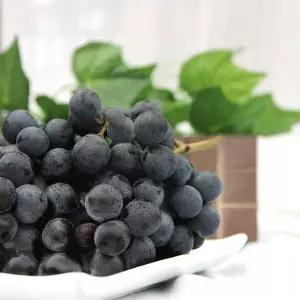 [이베따]가을 포도 머루포도 3kg(특) 우체국발송 (실중량)